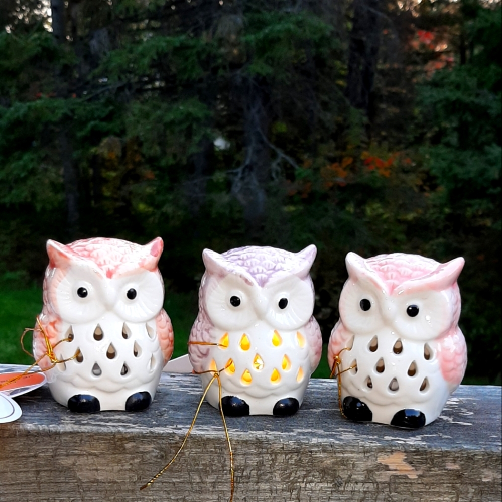 Set of 3 Light Up Owls NWT